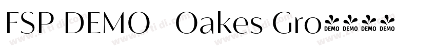 FSP DEMO   Oakes Gro字体转换